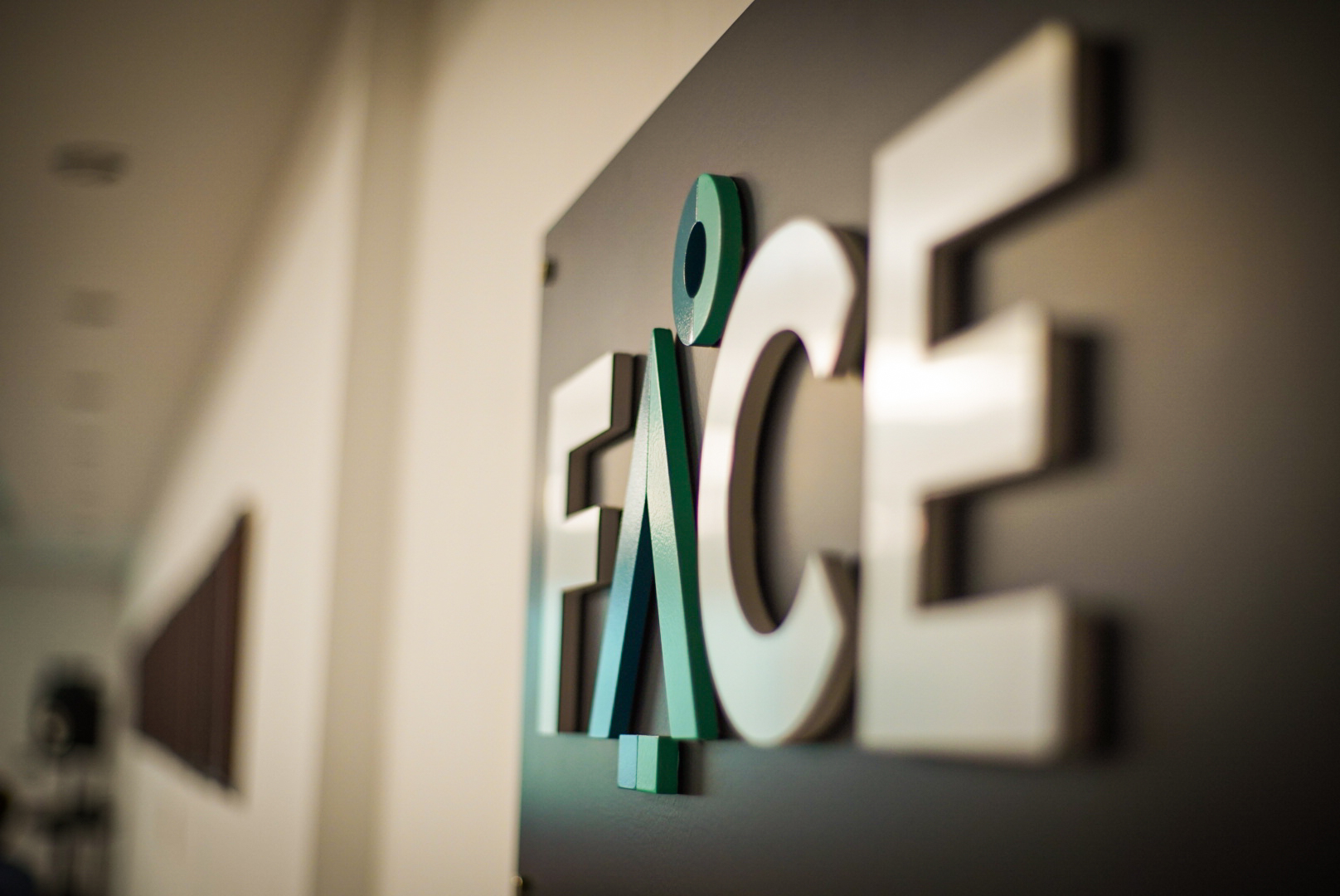 FACE reafirma su misión: “Dar respuesta permanente a las asociadas”